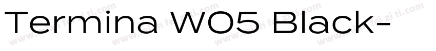 Termina W05 Black字体转换